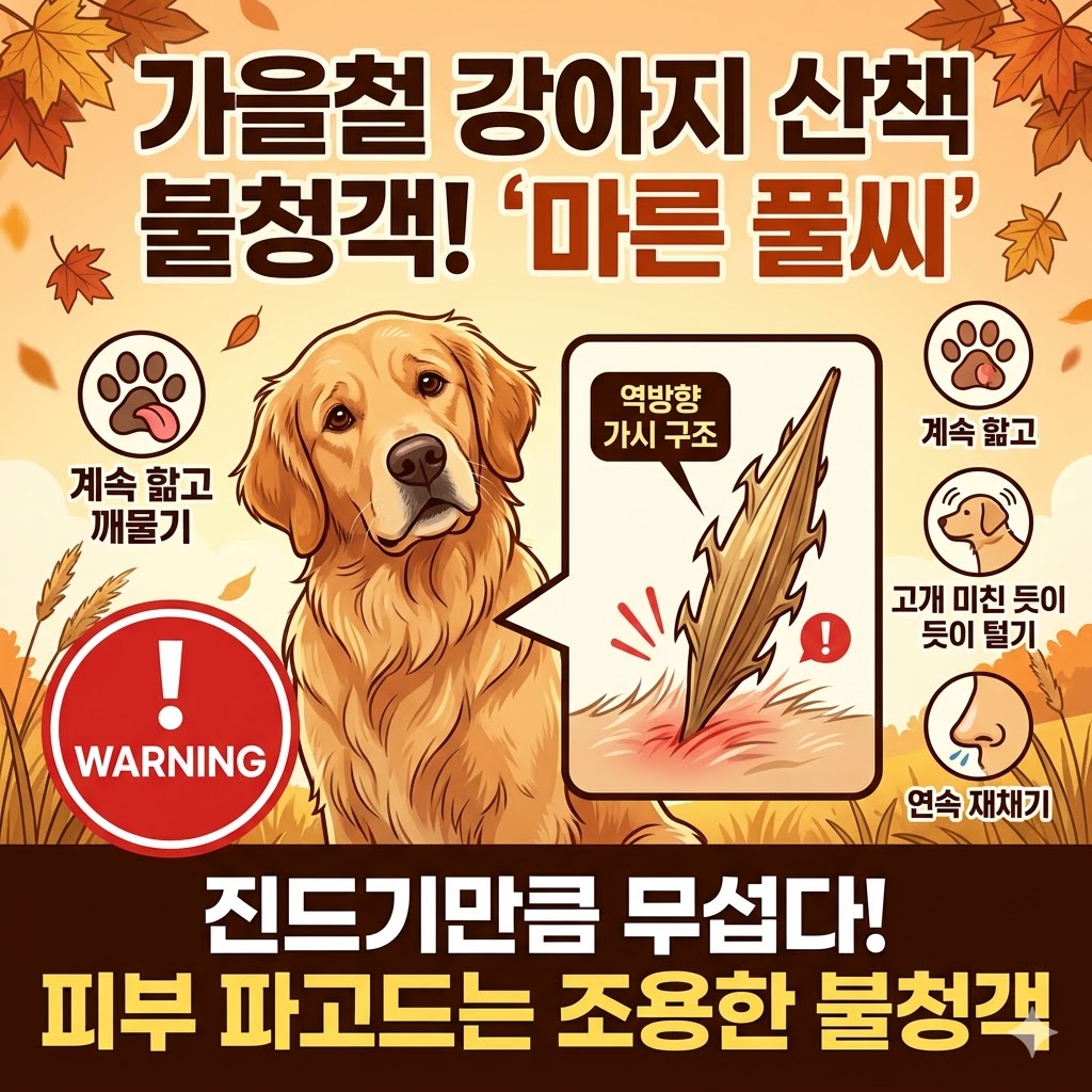 강아지 산책